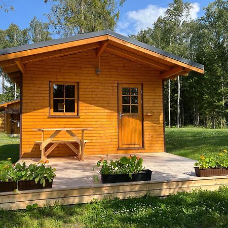 Marika Puhkekuela - Metsanurga Oeoemaja "Shared Bathroom" Ныва Экстерьер фото
